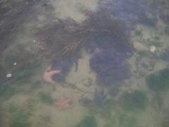 Tuesday July 12, 2011 10:31 - 100_1099 (2).JPG